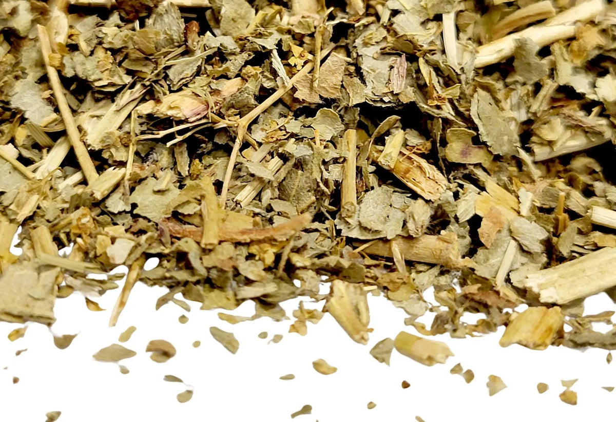 Lady's Mantle Herb - My SensibiliTeas - herb from SensibiliTeas