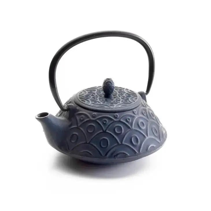 Malaysia Cast Iron Teapot - My SensibiliTeas - cast iron tea pot from Ibili