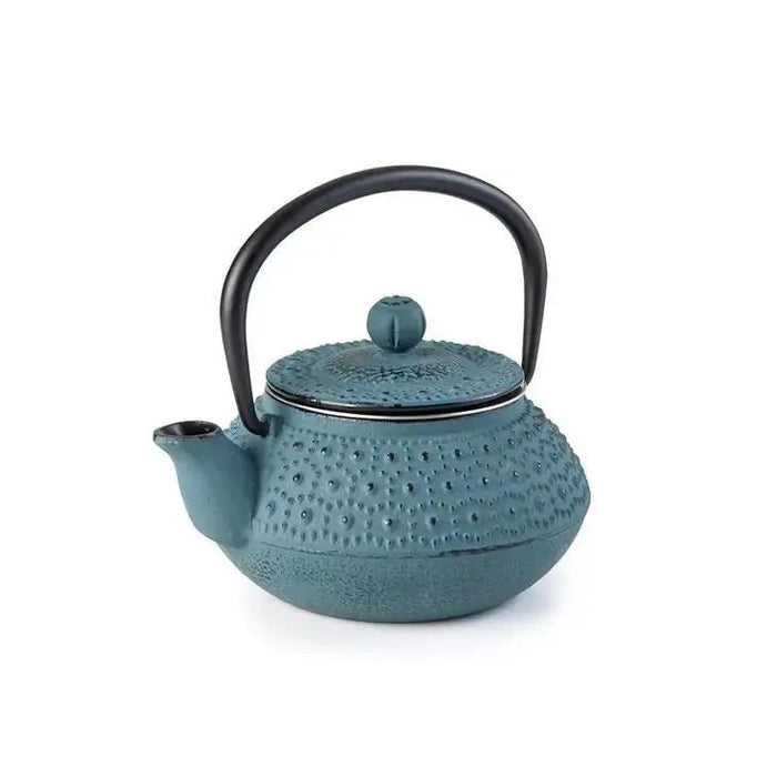 Manaos Cast Iron Teapot - My SensibiliTeas - cast iron tea pot from Ibili