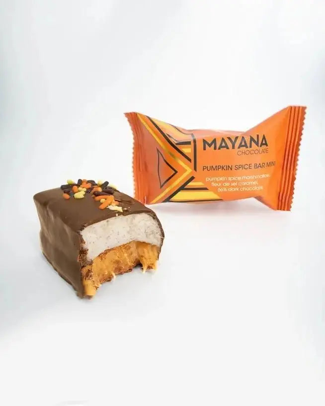 Mayana Mini Pumpkin Spice Bar - My SensibiliTeas - dark chocolate from Mayana Chocolates