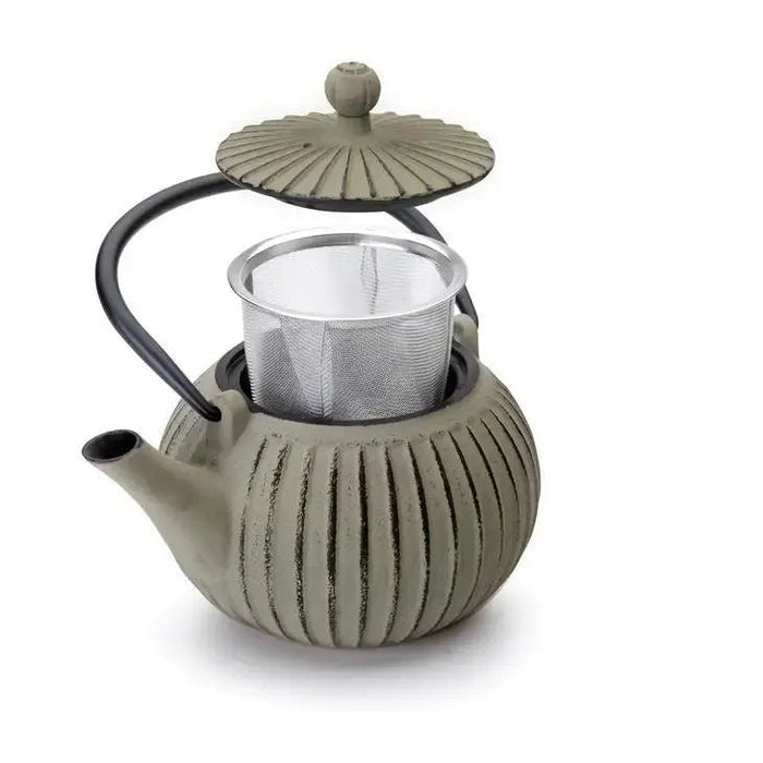 Nepal Cast Iron Teapot - My SensibiliTeas - cast iron tea pot from Ibili