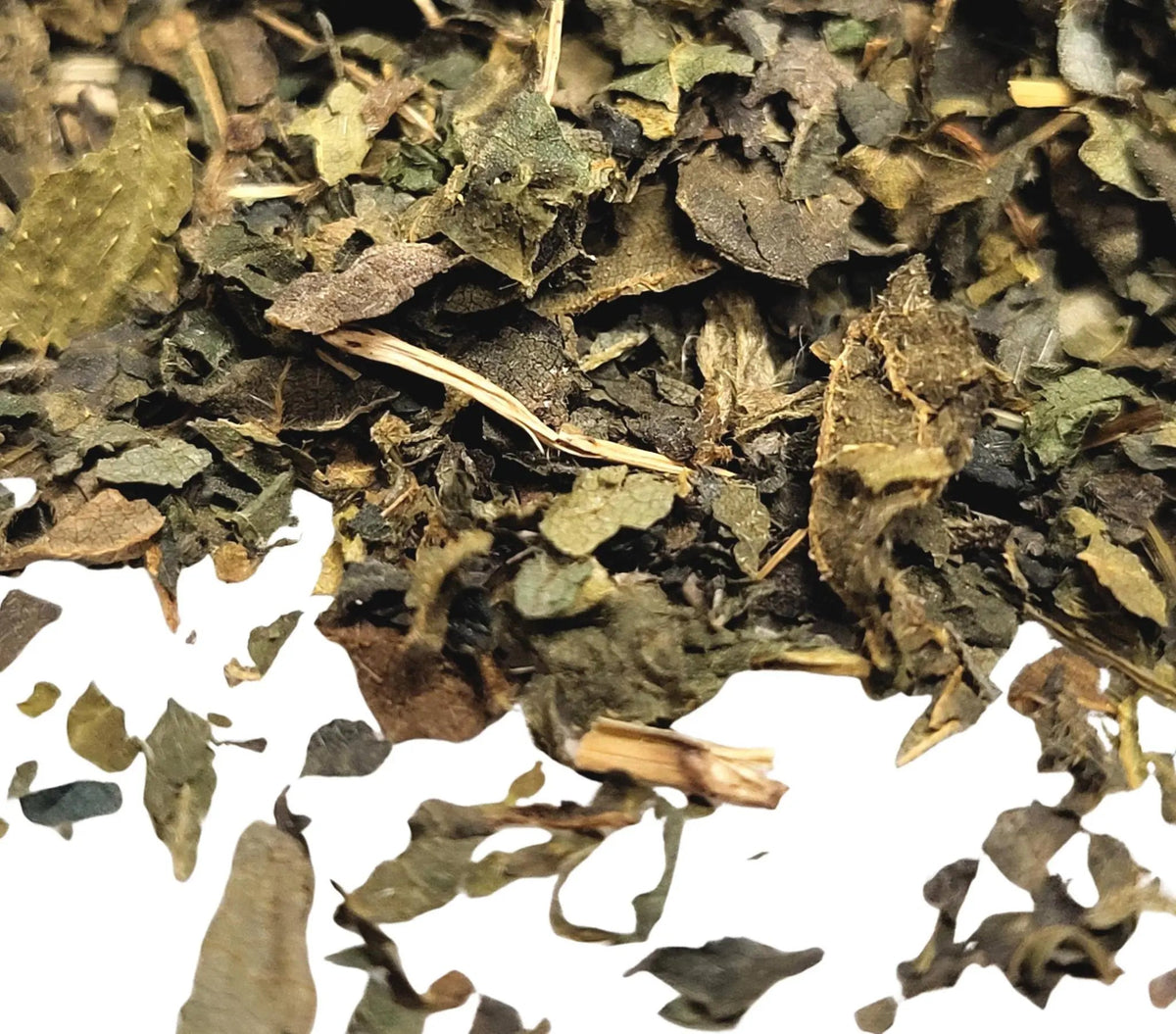 Nettle - My SensibiliTeas - herb from SensibiliTeas