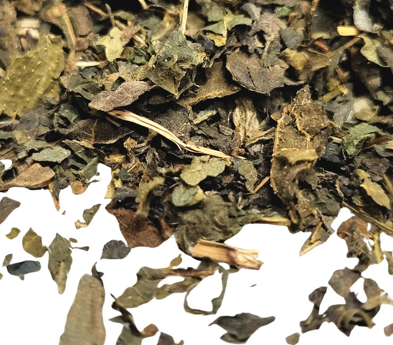 Nettle - My SensibiliTeas - herb from SensibiliTeas