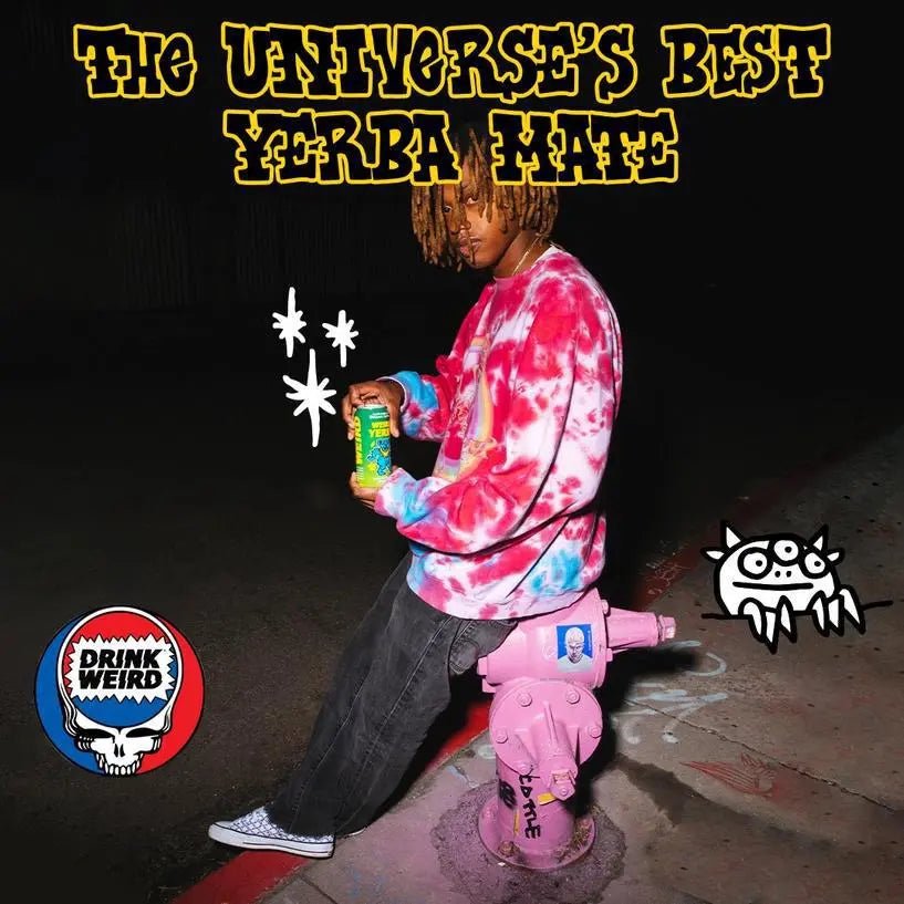 Organic Mystical Mint Yerba Mate 16oz Can - My SensibiliTeas - canned tea from Weird Beverages