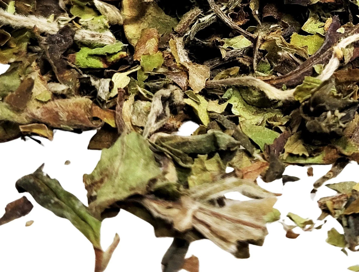 Pai Mu Tan - My SensibiliTeas - white tea from SensibiliTeas