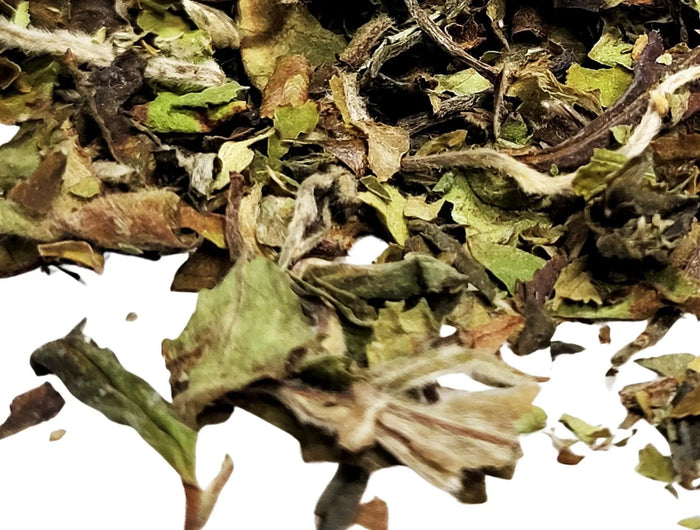 Pai Mu Tan - My SensibiliTeas - white tea from SensibiliTeas