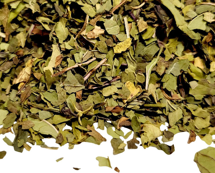 Peppermint - My SensibiliTeas - mint tea from SensibiliTeas