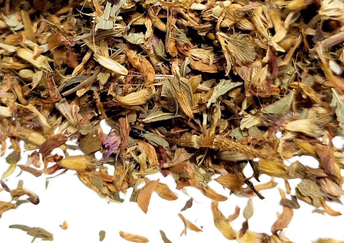 Red Clover - My SensibiliTeas - herb from SensibiliTeas