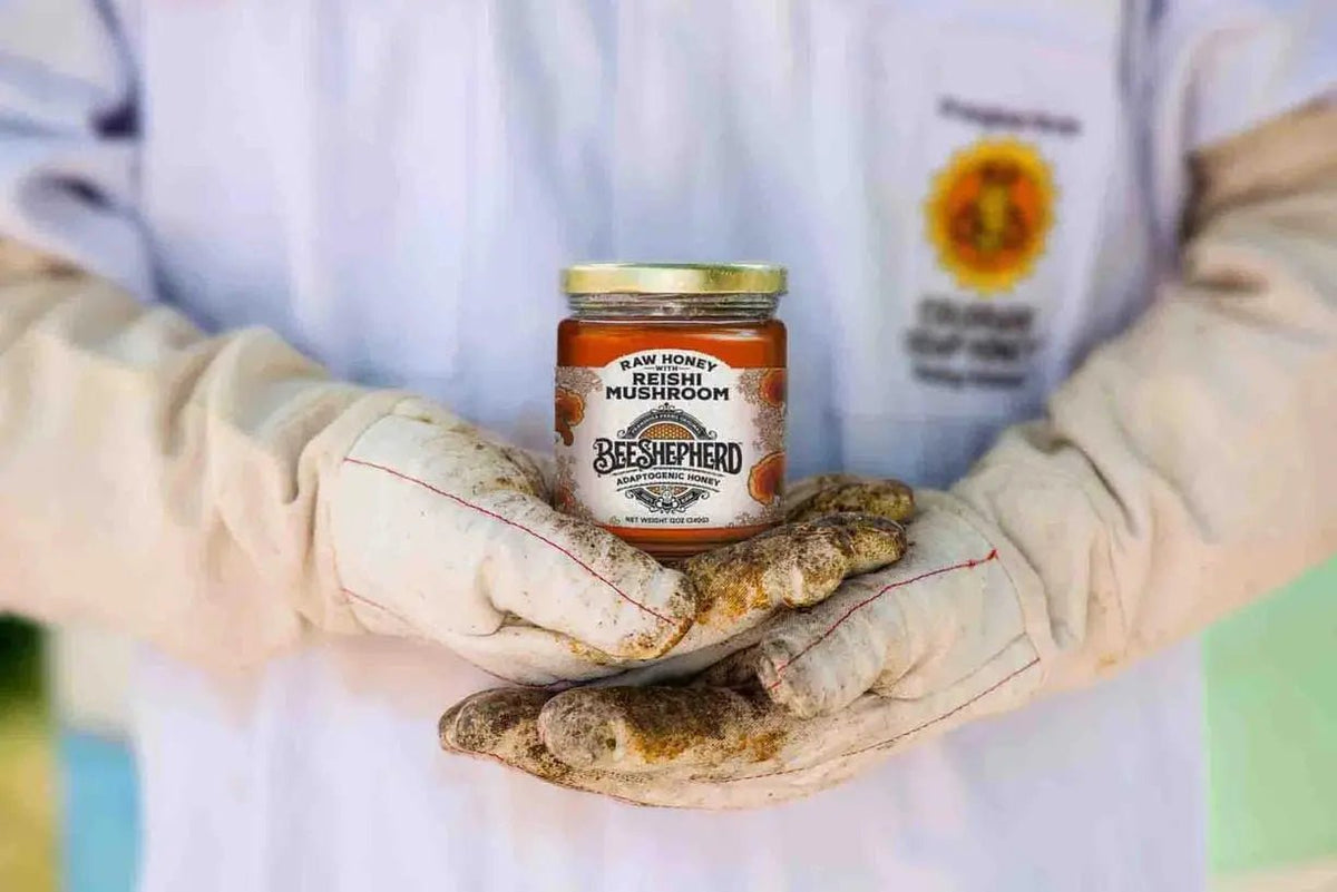 Reishi Mushroom Honey - My SensibiliTeas - infused honey adaptogen from Frangiosa Farms