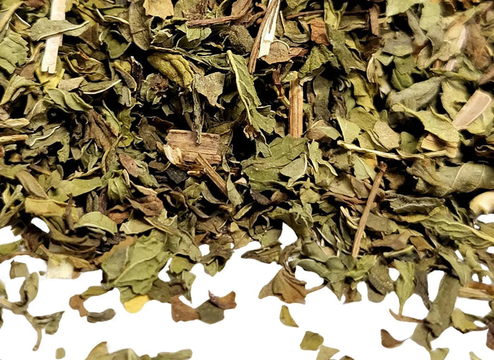 Spearmint - My SensibiliTeas - mint tea from SensibiliTeas