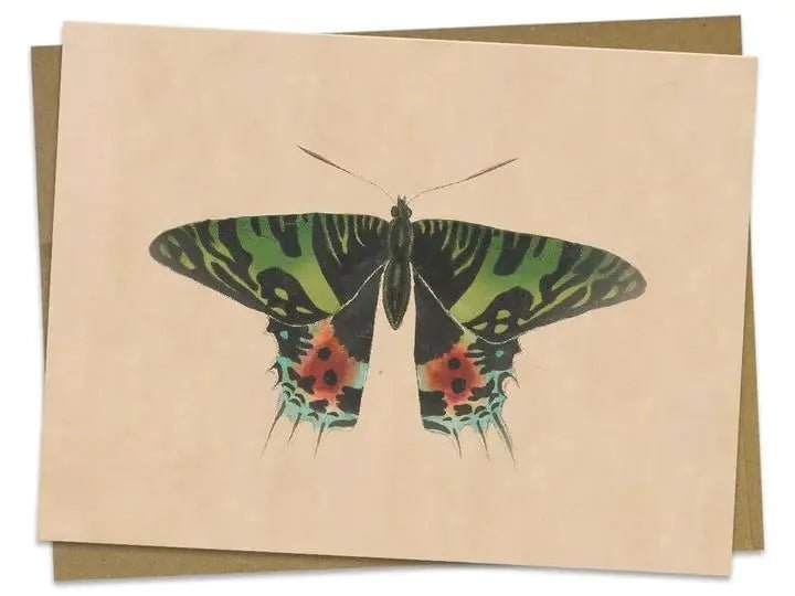 Vintage Butterfly/Moth Greeting Card - My SensibiliTeas - vintage blank greeting card from Cognitive Surplus