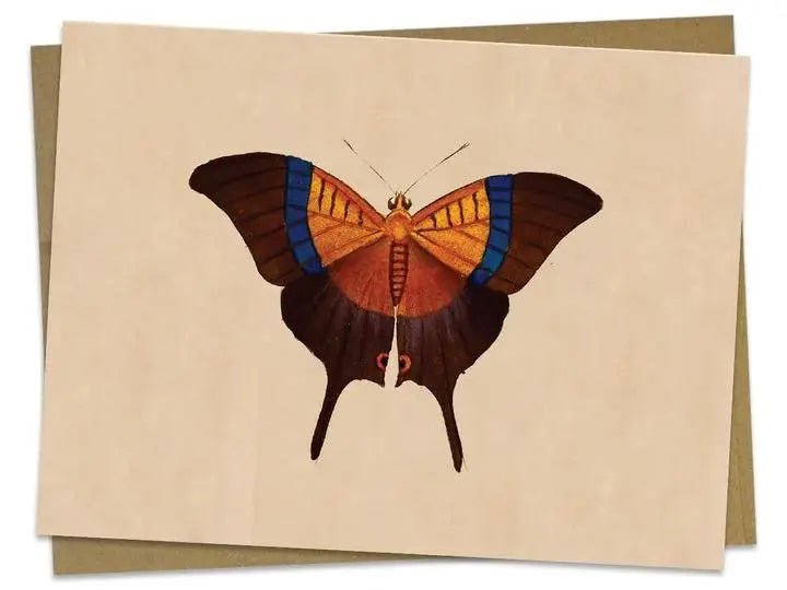 Vintage Butterfly/Moth Greeting Card - My SensibiliTeas - vintage blank greeting card from Cognitive Surplus