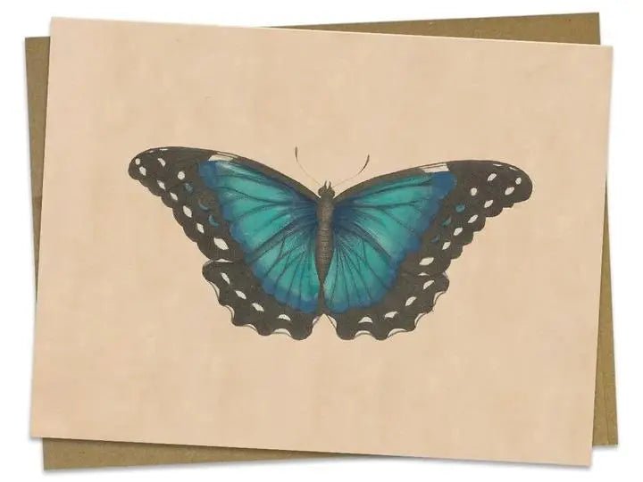 Vintage Butterfly/Moth Greeting Card - My SensibiliTeas - vintage blank greeting card from Cognitive Surplus