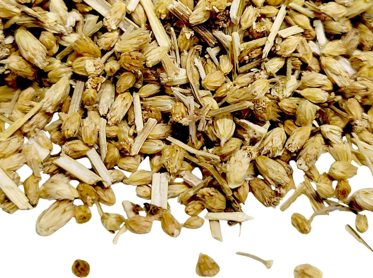 Yarrow - My SensibiliTeas - herbs from SensibiliTeas