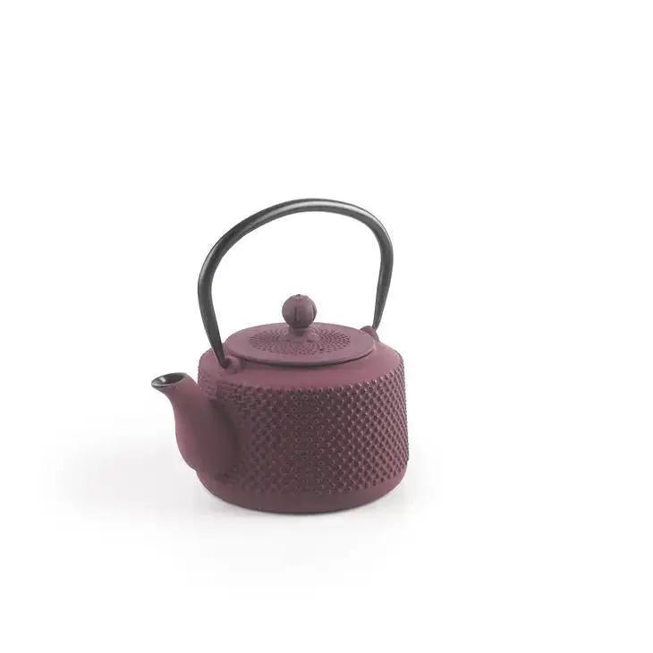 Yunan Cast Iron Teapot - My SensibiliTeas - cast iron tea pot from Ibili